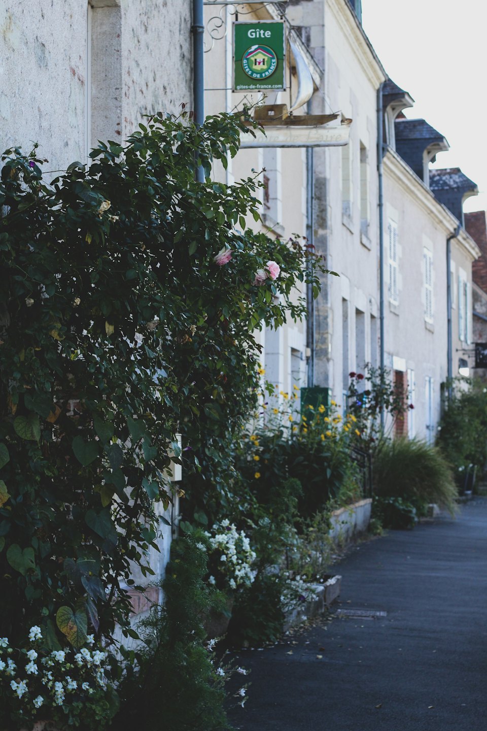 Bâtiments traditionnels en pierre européens décorés de plantes grimpantes et de fleurs.