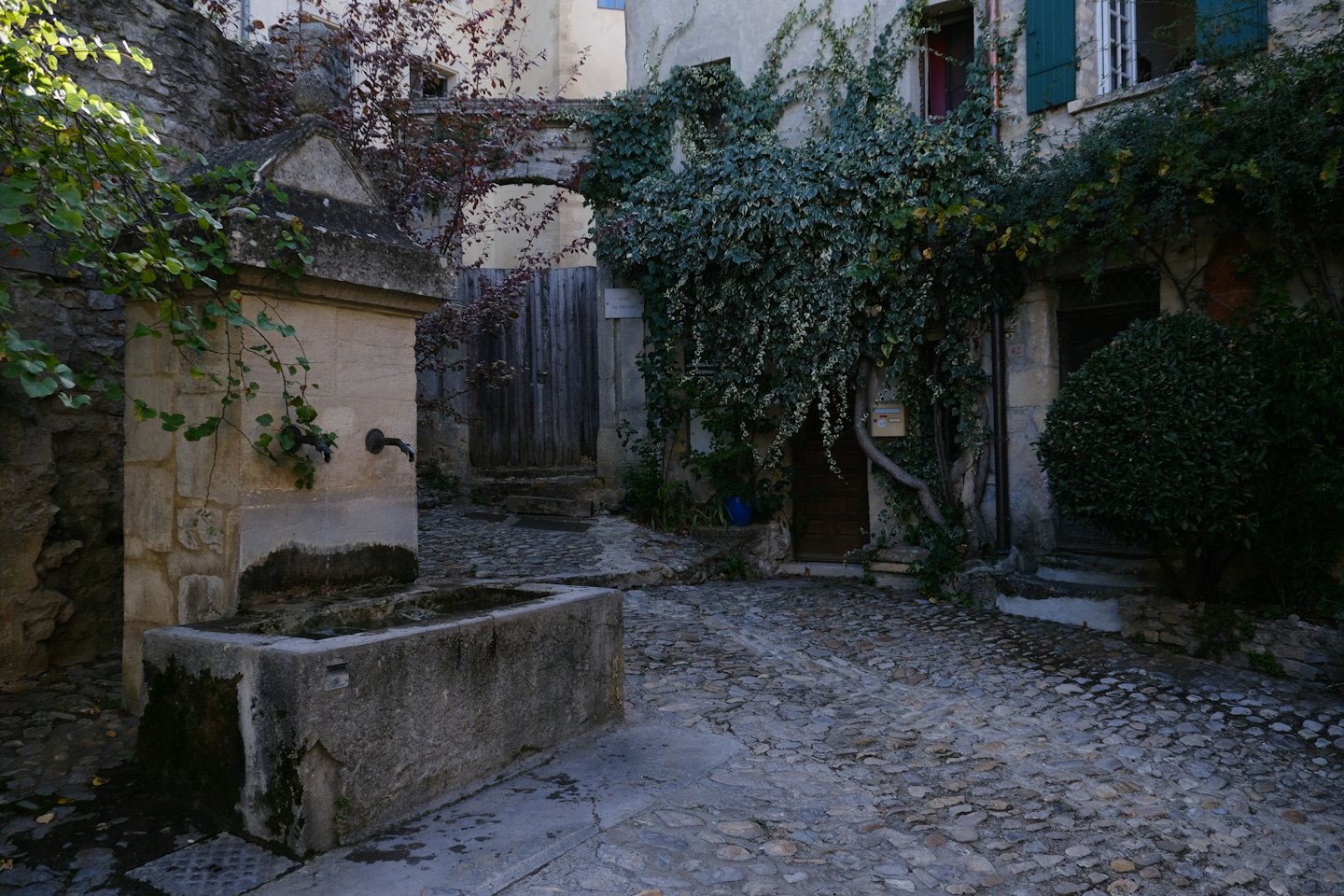 Une fontaine en pierre patinée se trouve dans une cour historique couverte de lierre.